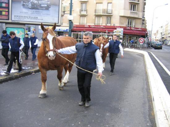 Paris 2005