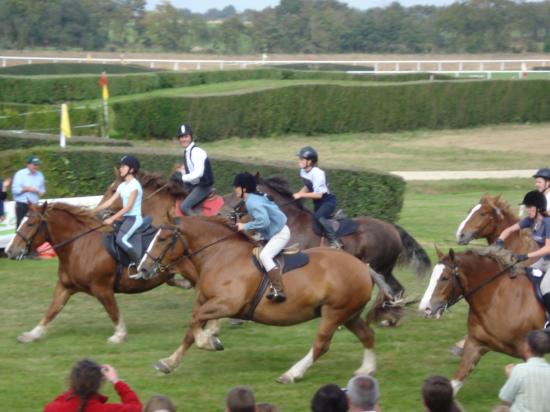 course de chevaux de trait
