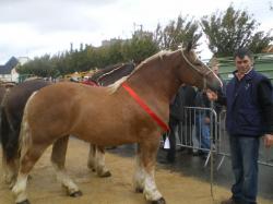 Betty de goas kerly en octobre 2013